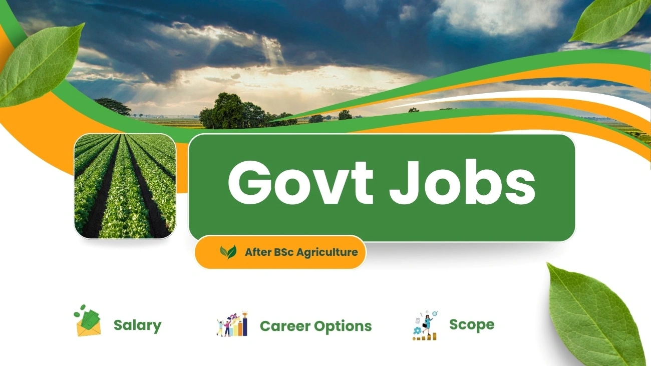 Govt Jobs After BSc Agriculture cover image