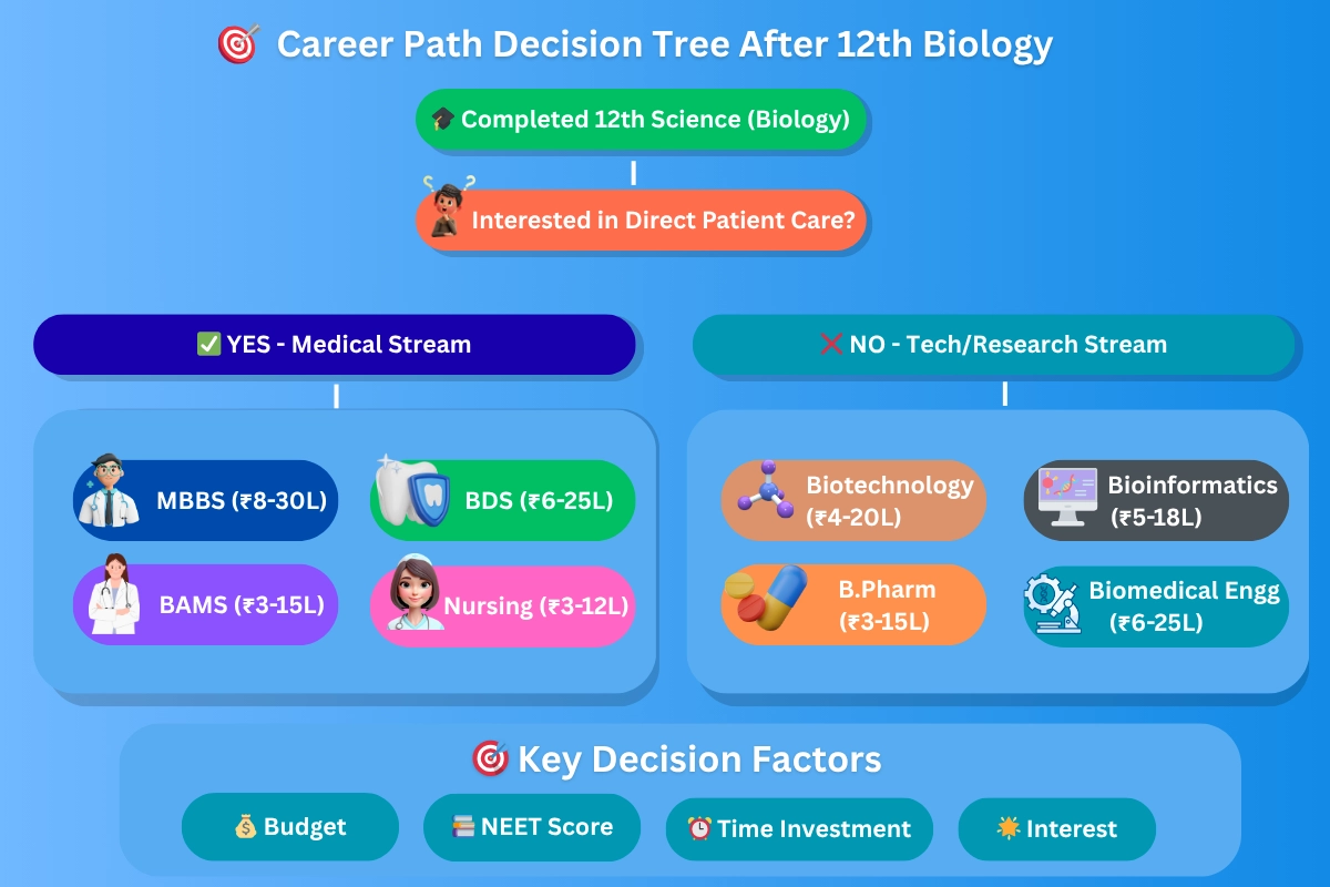 career-path-decision-tree-after-12th-biology Chart visualizing career paths after 12th biology, offering medical and tech/research options.