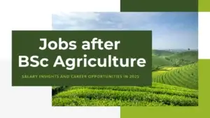 Private jobs after BSc Agriculture Salary: salary insights and career opportunities in 2025.
