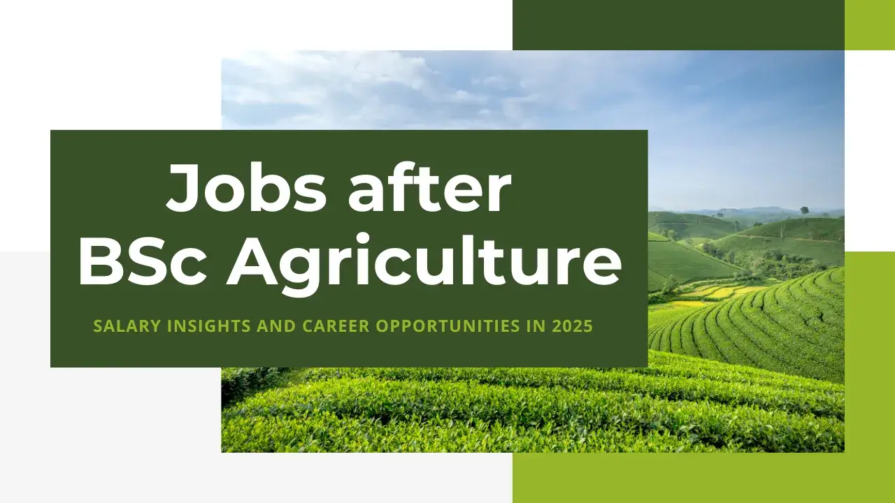 Private jobs after BSc Agriculture Salary: salary insights and career opportunities in 2025.